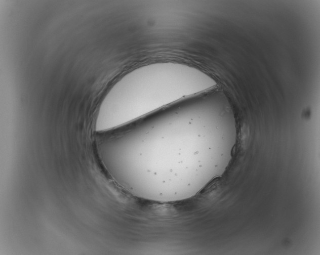 X0000112800424200908211007