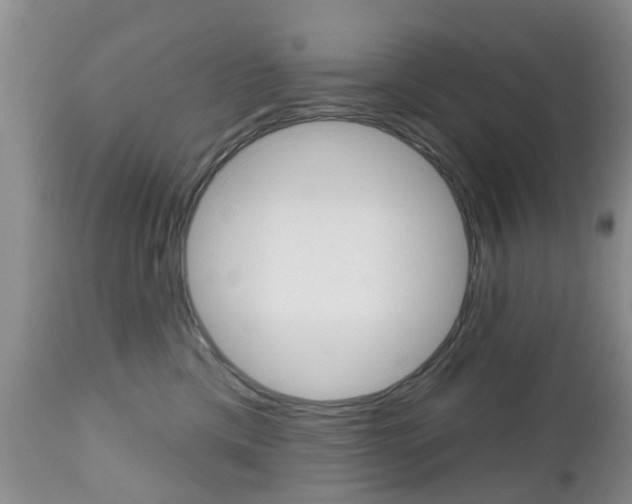X0000112800425200908211007