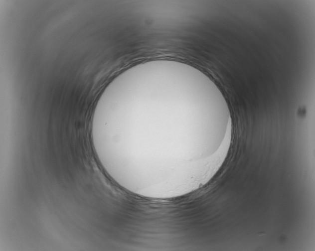 X0000112800427200908211007