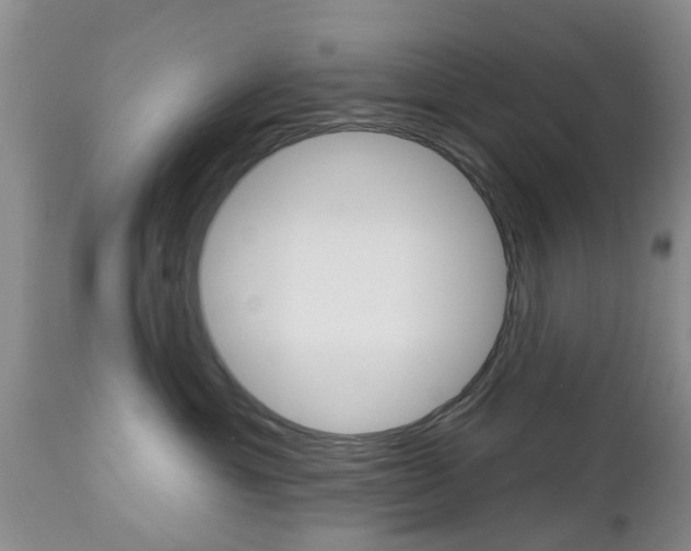 X0000112800429200908211007