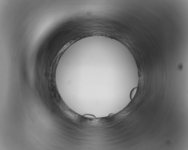 X0000112800430200908211007