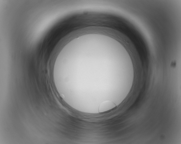 X0000112800431200908211007