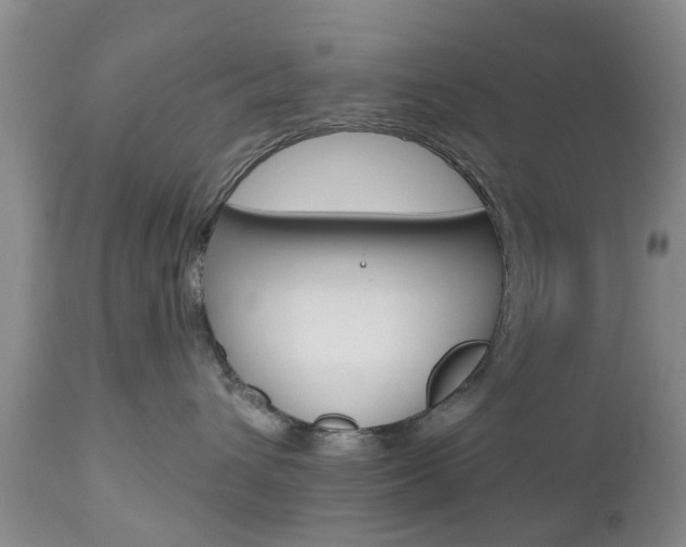 X0000112800432200908211007