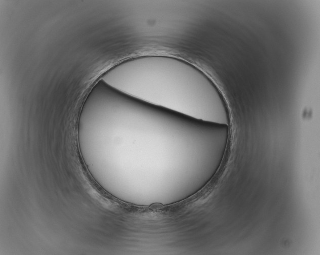 X0000112800433200908211006