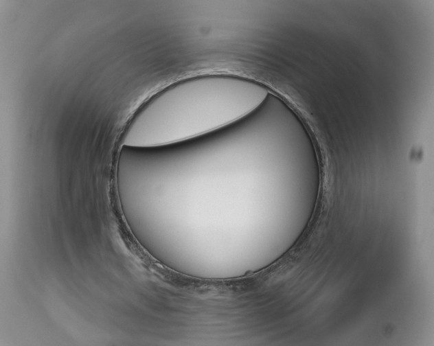 X0000112800434200908211006