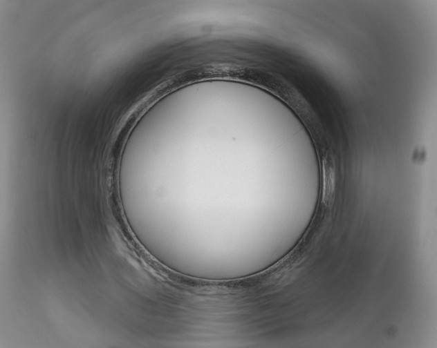 X0000112800435200908211006