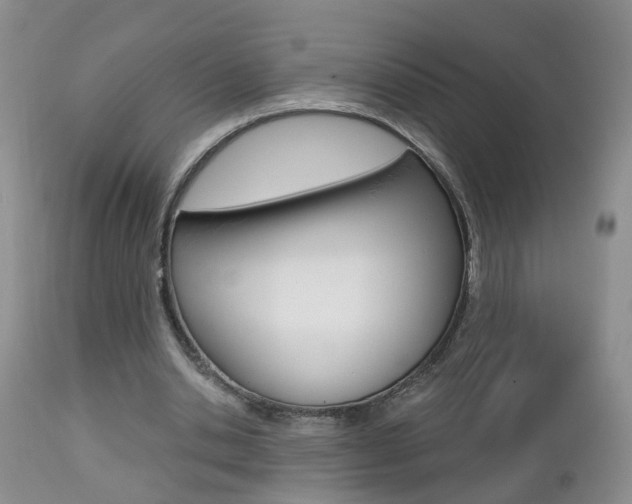 X0000112800438200908211006