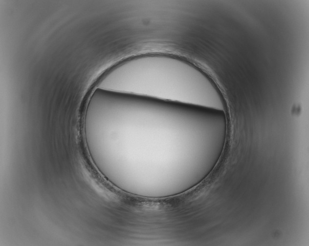 X0000112800439200908211006