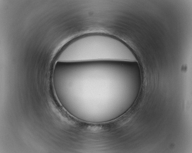 X0000112800440200908211006