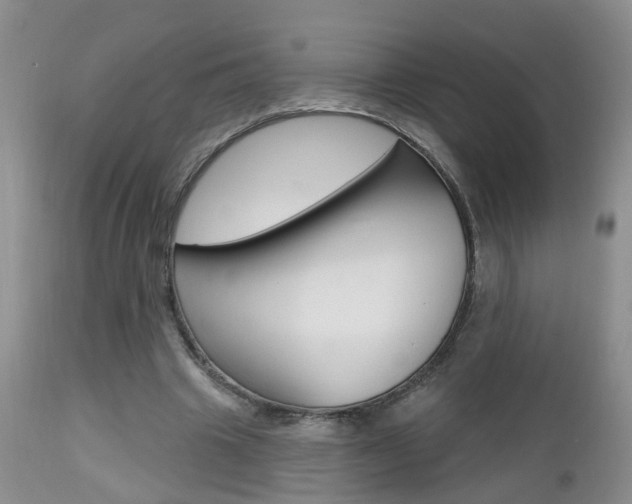 X0000112800441200908211006