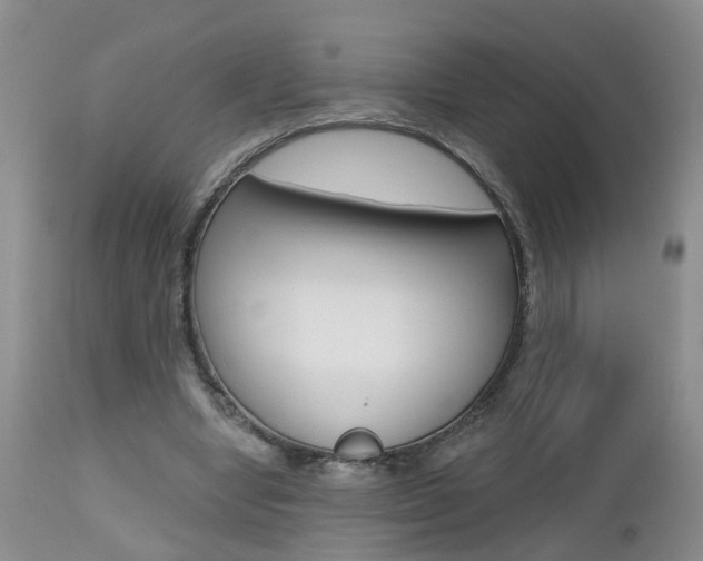 X0000112800442200908211006