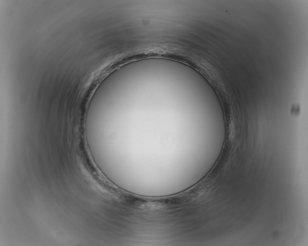 X0000112800444200908211006