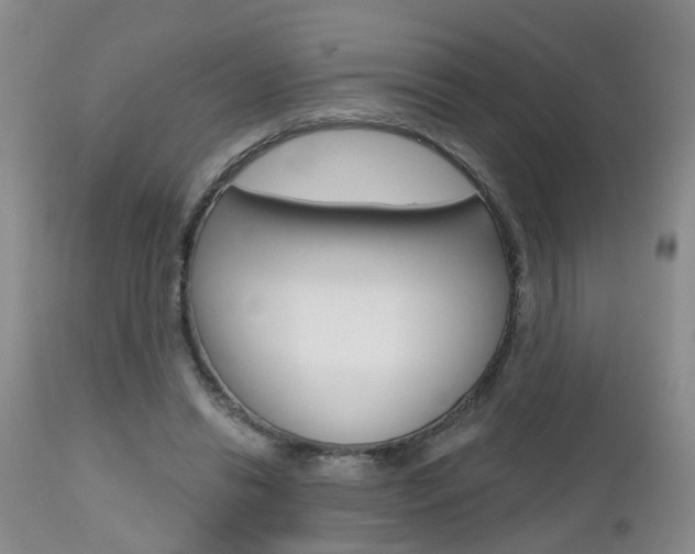 X0000112800446200908211006