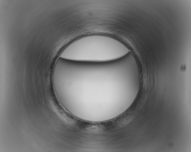 X0000112800447200908211006