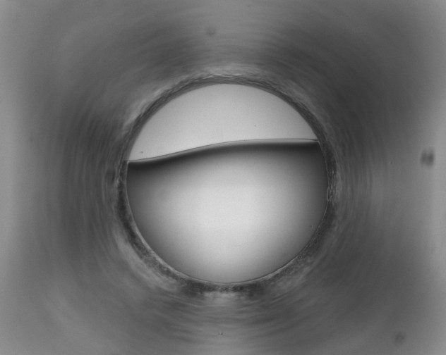 X0000112800448200908211006