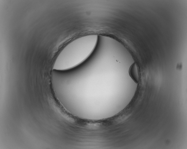 X0000112800450200908211006