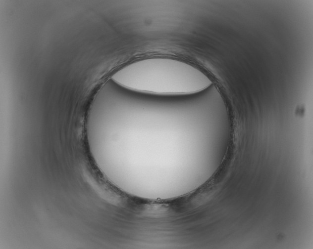 X0000112800451200908211006