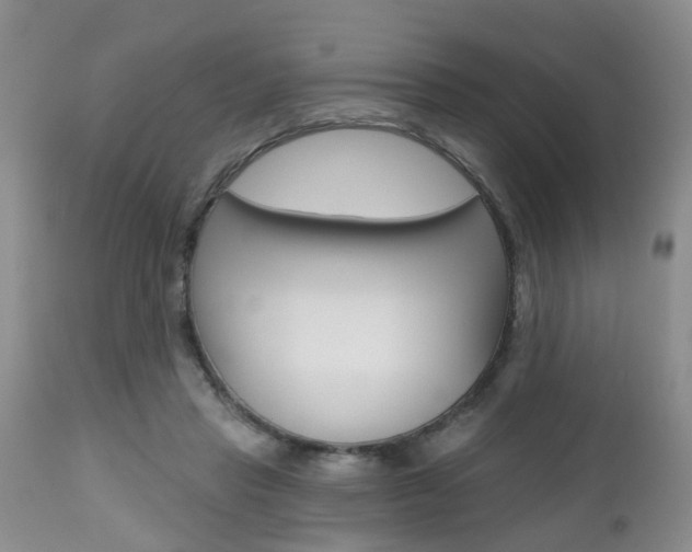 X0000112800453200908211007