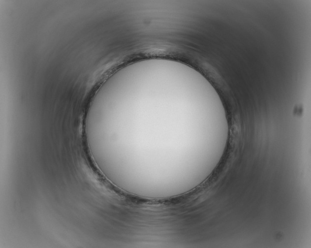 X0000112800454200908211007