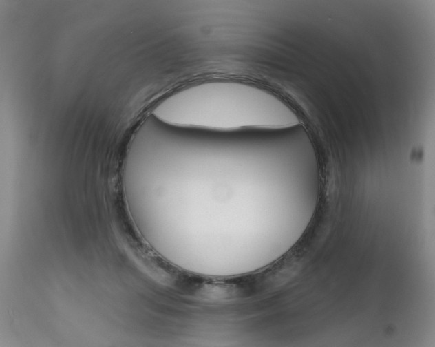 X0000112800455200908211007