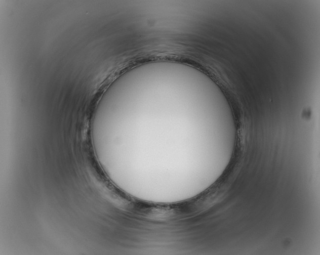X0000112800458200908211007