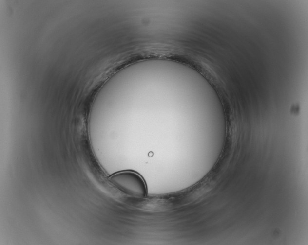 X0000112800459200908211007