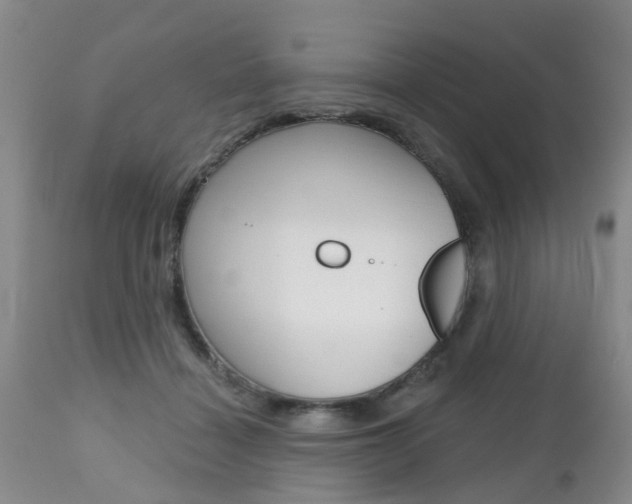 X0000112800460200908211007