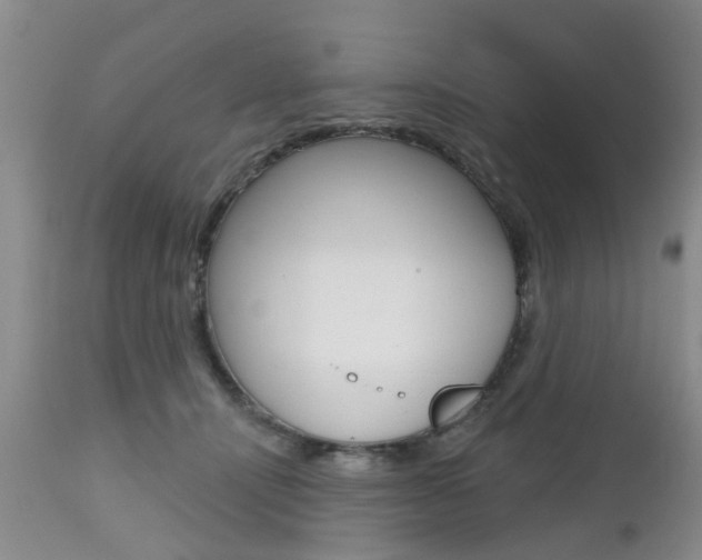 X0000112800464200908211007
