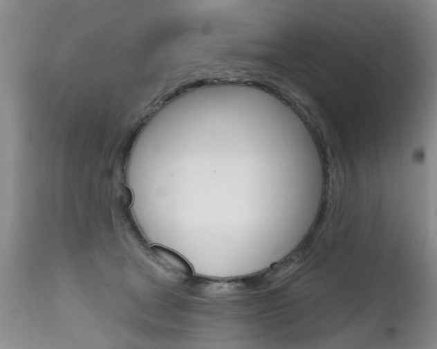 X0000112800465200908211007