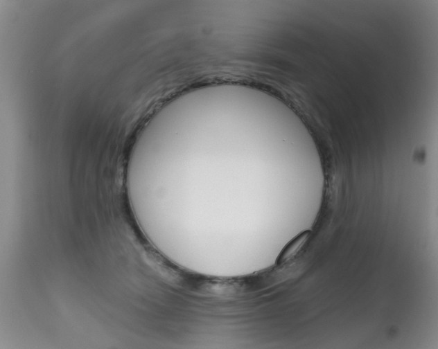 X0000112800466200908211007