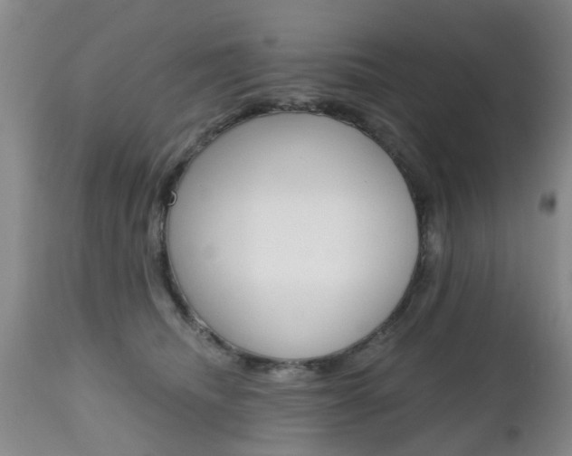 X0000112800468200908211007