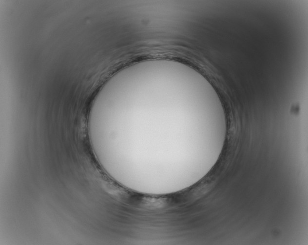 X0000112800469200908211007