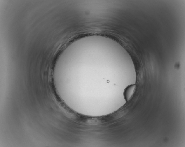 X0000112800470200908211007
