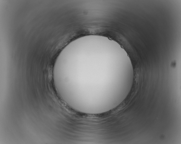 X0000112800471200908211007