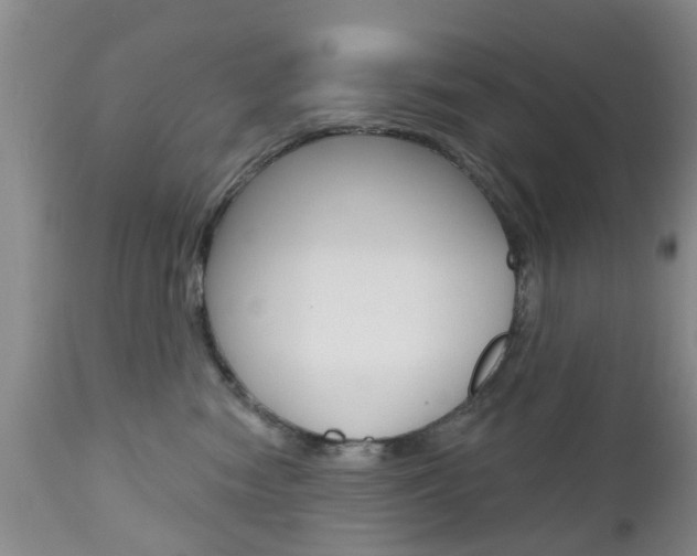 X0000112800474200908211007