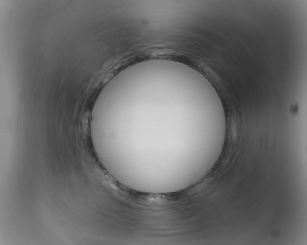 X0000112800475200908211007