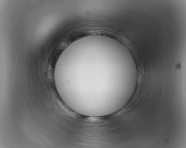 X0000112800477200908211007