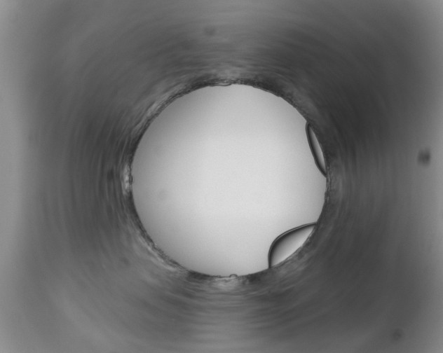 X0000112800479200908211007