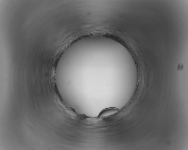 X0000112800480200908211007