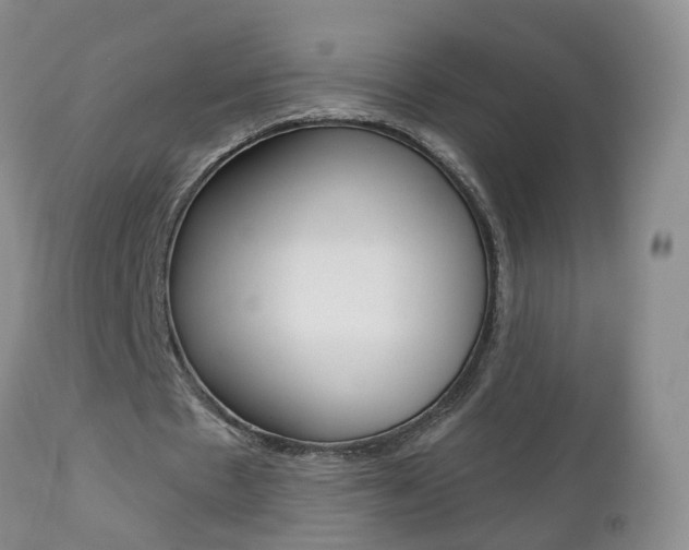 X0000112800481200908211006