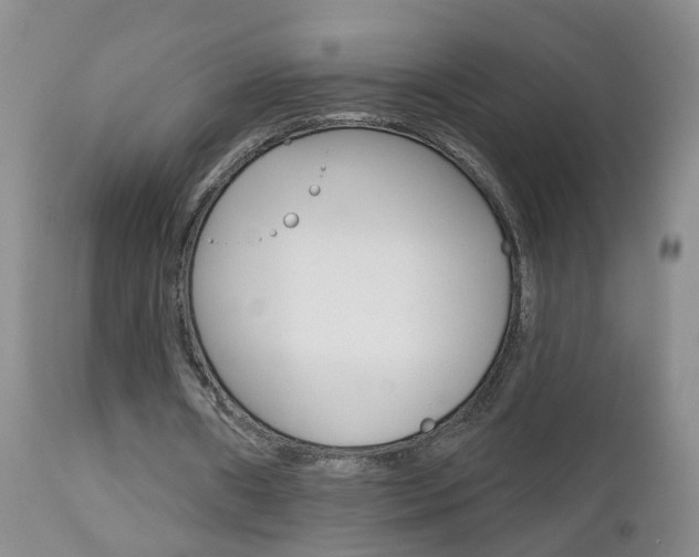 X0000112800482200908211006