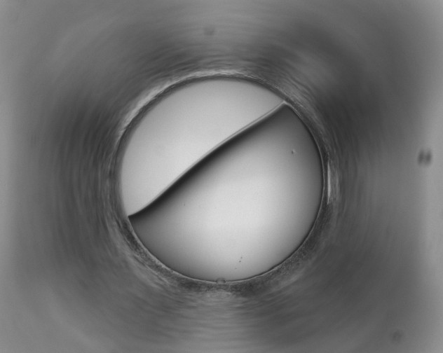 X0000112800483200908211006