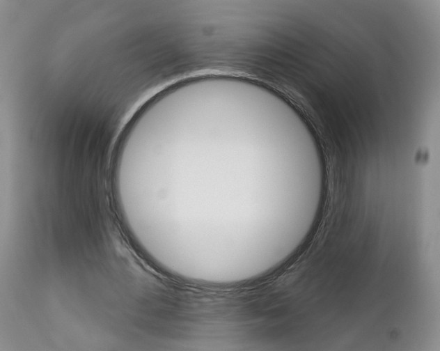 X0000112800484200908211006