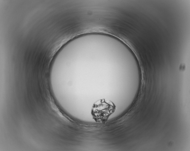 X0000112800485200908211006