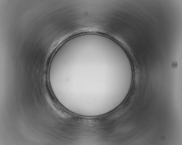 X0000112800486200908211006