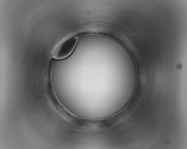 X0000112800488200908211006