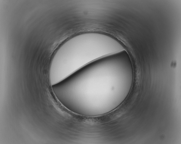 X0000112800489200908211006