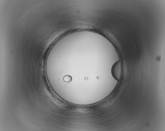 X0000112800490200908211006