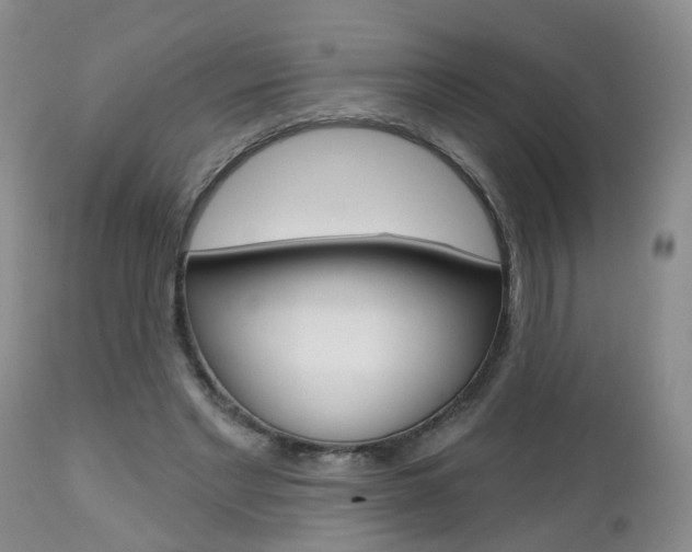 X0000112800493200908211006