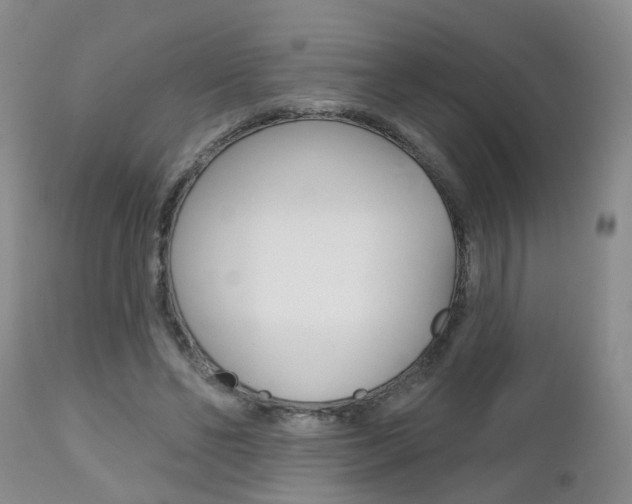 X0000112800494200908211006